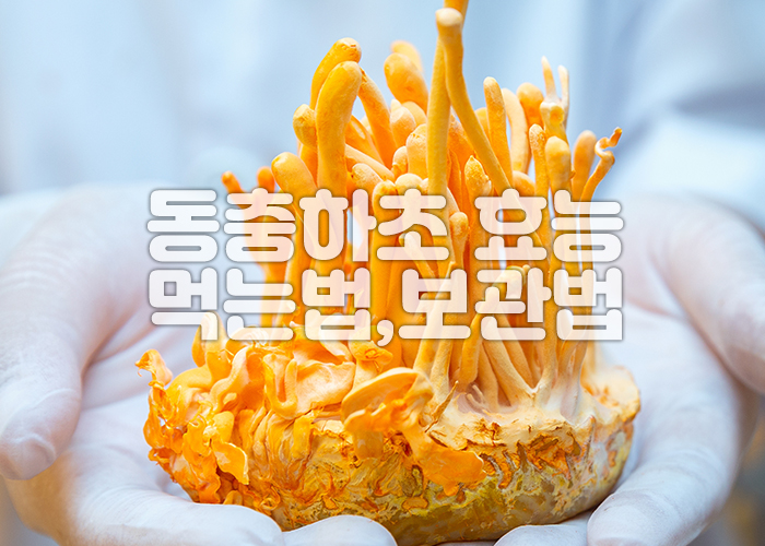 한사람의 모은 양손에 동충하초가 올려져 있다