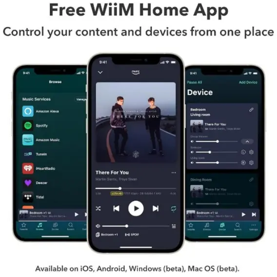 WiiMUltra 오디오 스트리머