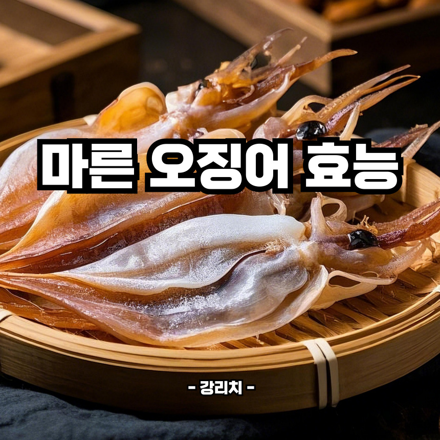 마른 오징어 효능