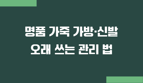 명품 가죽 가방 신발 오래 쓰는 관리법