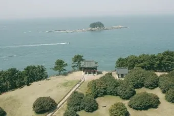 서천 마량리 동백나무 숲 개화 코스_2