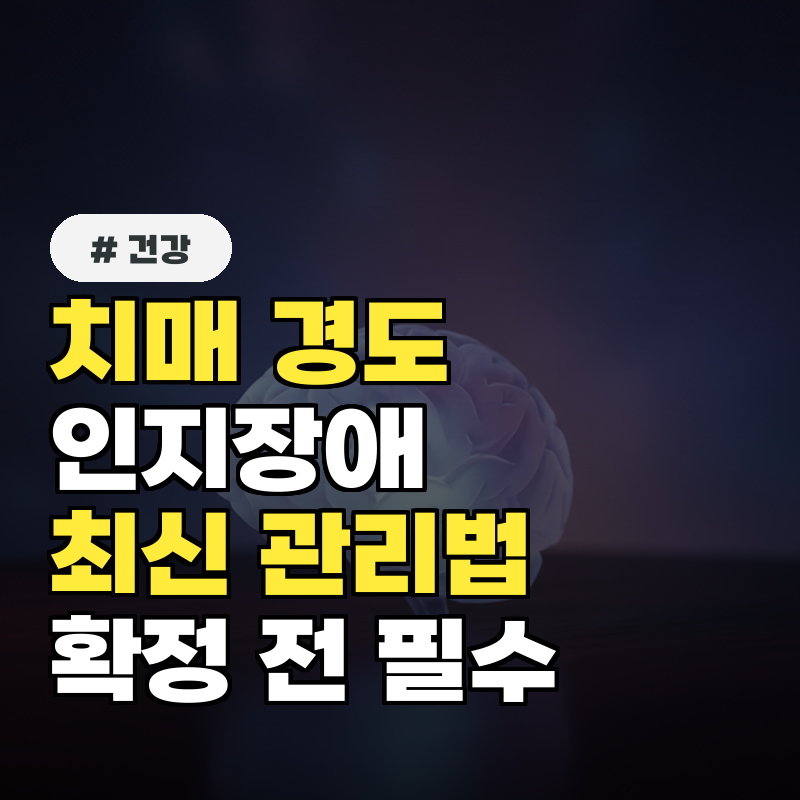 치매 경도인지장애 확정받기 전 알아야 할 최신 관리법