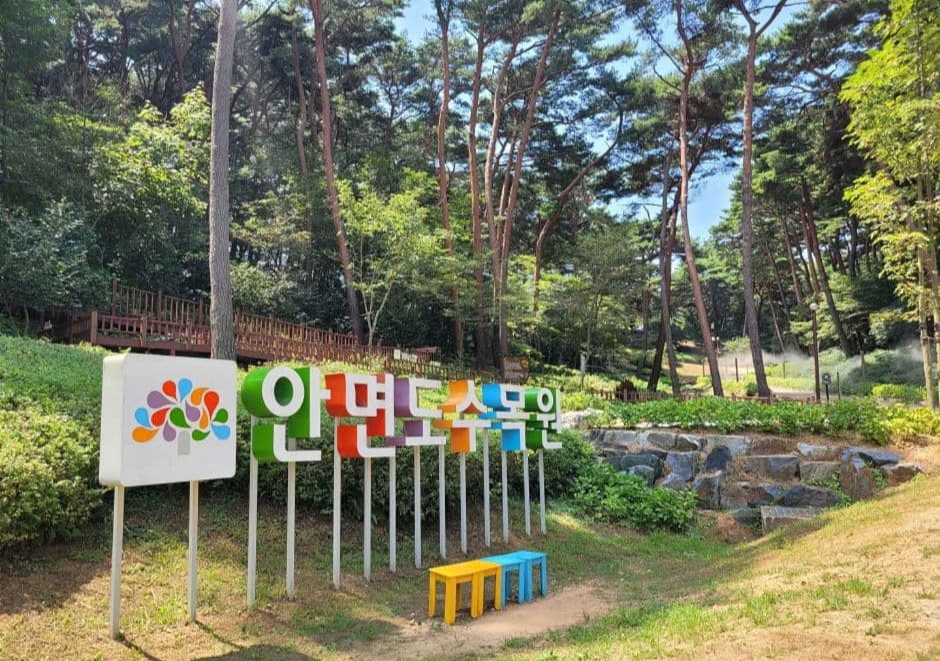 충남 태안 봄 여행지 BEST 3｜천리포수목원 목련(봄꽃)축제 주변 여행지