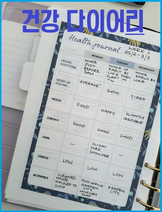 건강 다이어리