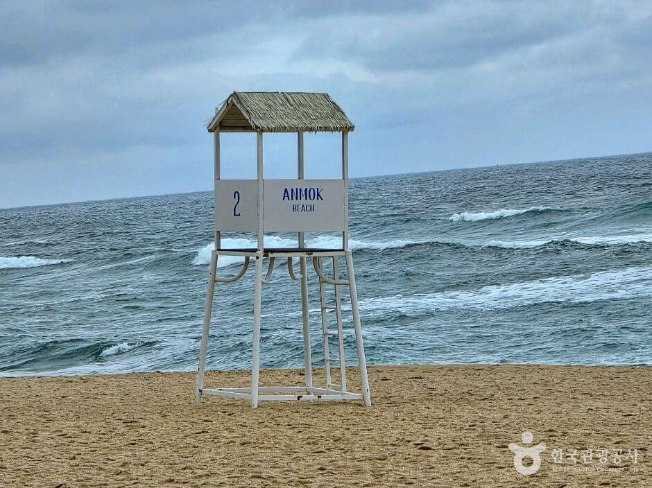 강릉 가볼만한곳 베스트 10