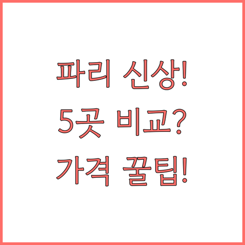 파리 신상 호텔 5곳 위치와 가격 비..