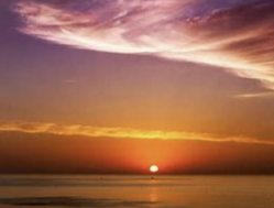 ENTJ 유형 특징 분석