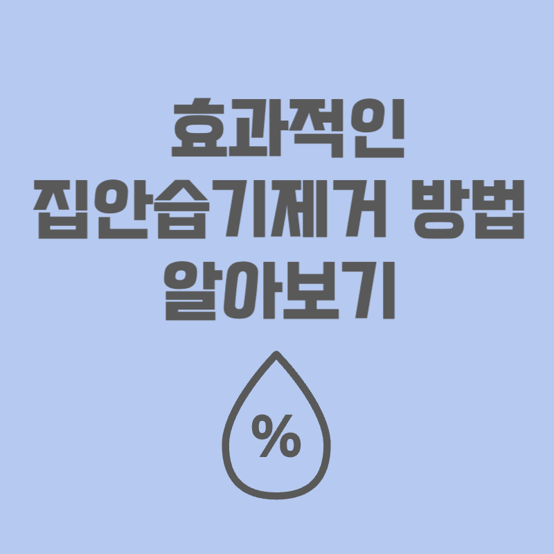 효과적인 집안습기제거 방법 알아보기