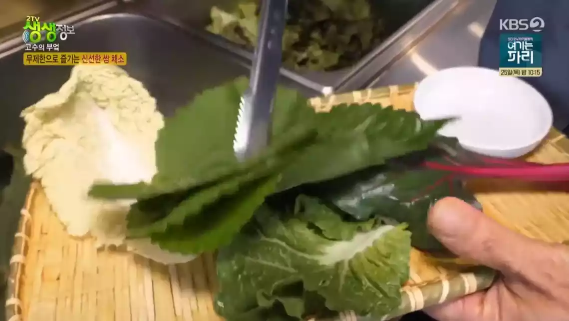 쌈채소