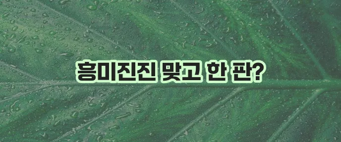 넷마블 대박맞고 다운로드 및 바로가기