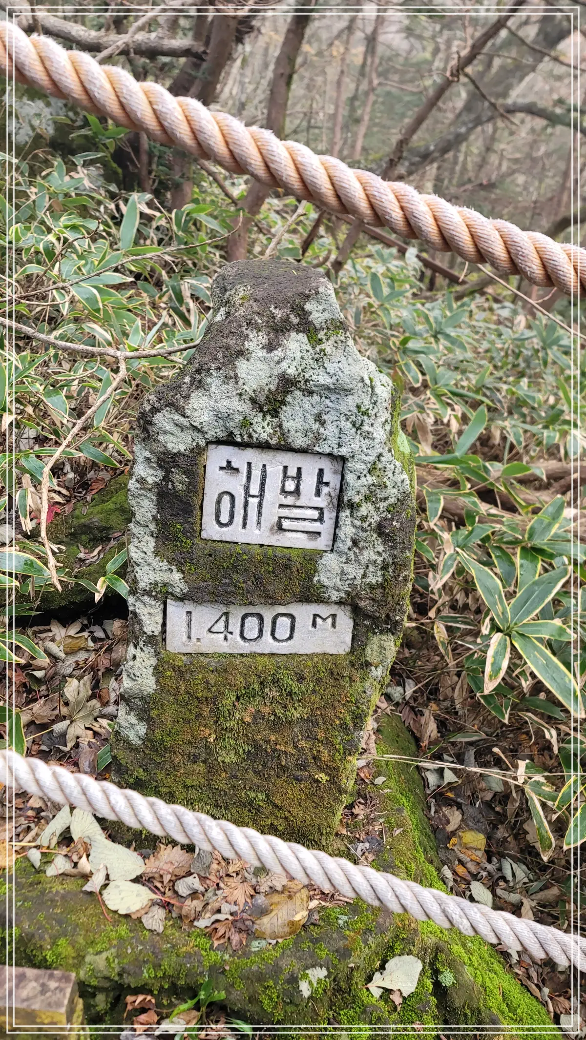 해발 1400