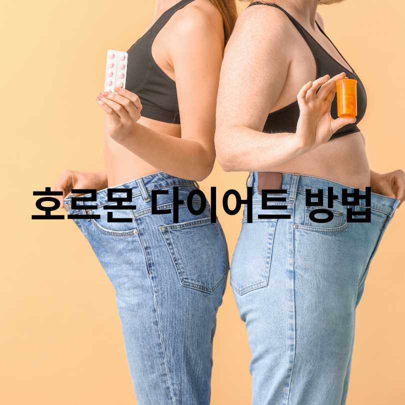호르몬 다이어트 방법 완전 정복!