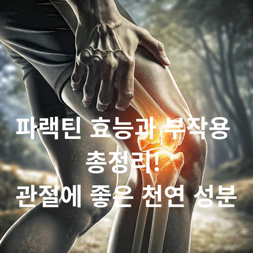 파랙틴 효능과 부작용 총정리