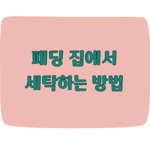 패딩 집에서 세탁하는 방법