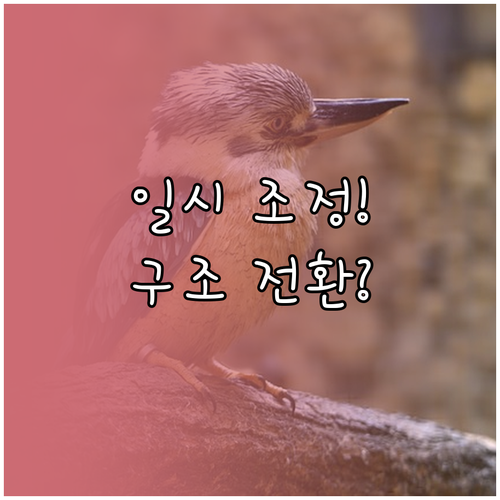 비트코인 ETF 순유출 구조적 전환 ..