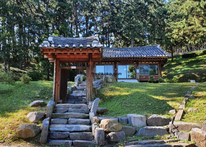 보령 가볼만한곳