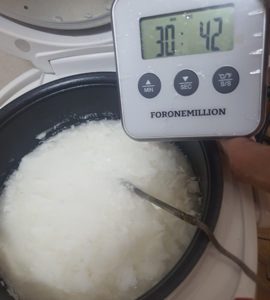 밥솥에서 10시간 째 발효중