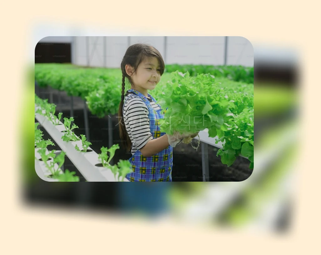 저탄고지 식단_1_subsection
