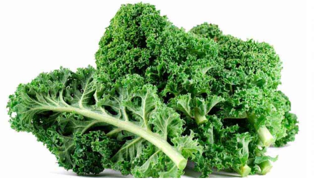 중성지방 낮추는 음식