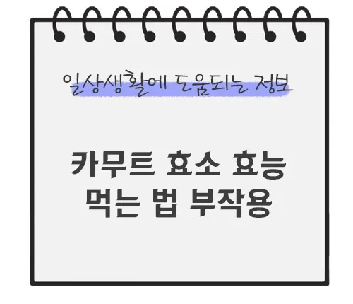 카무트-효소-효능