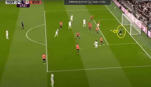 손흥민 11호골
