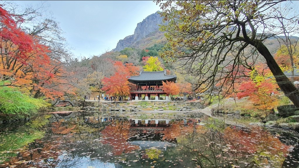 내장산국립공원