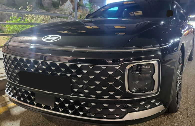 신형 그랜저 하부 그릴