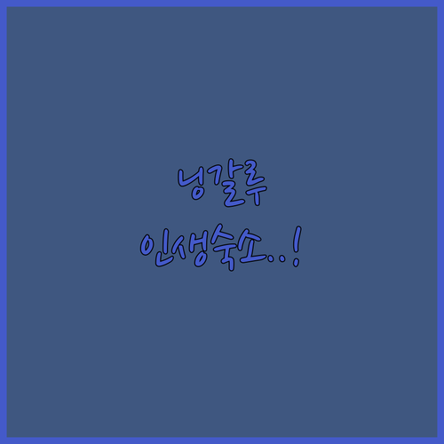 닝갈루 코스트 숙소 추천 RAC 닝갈..