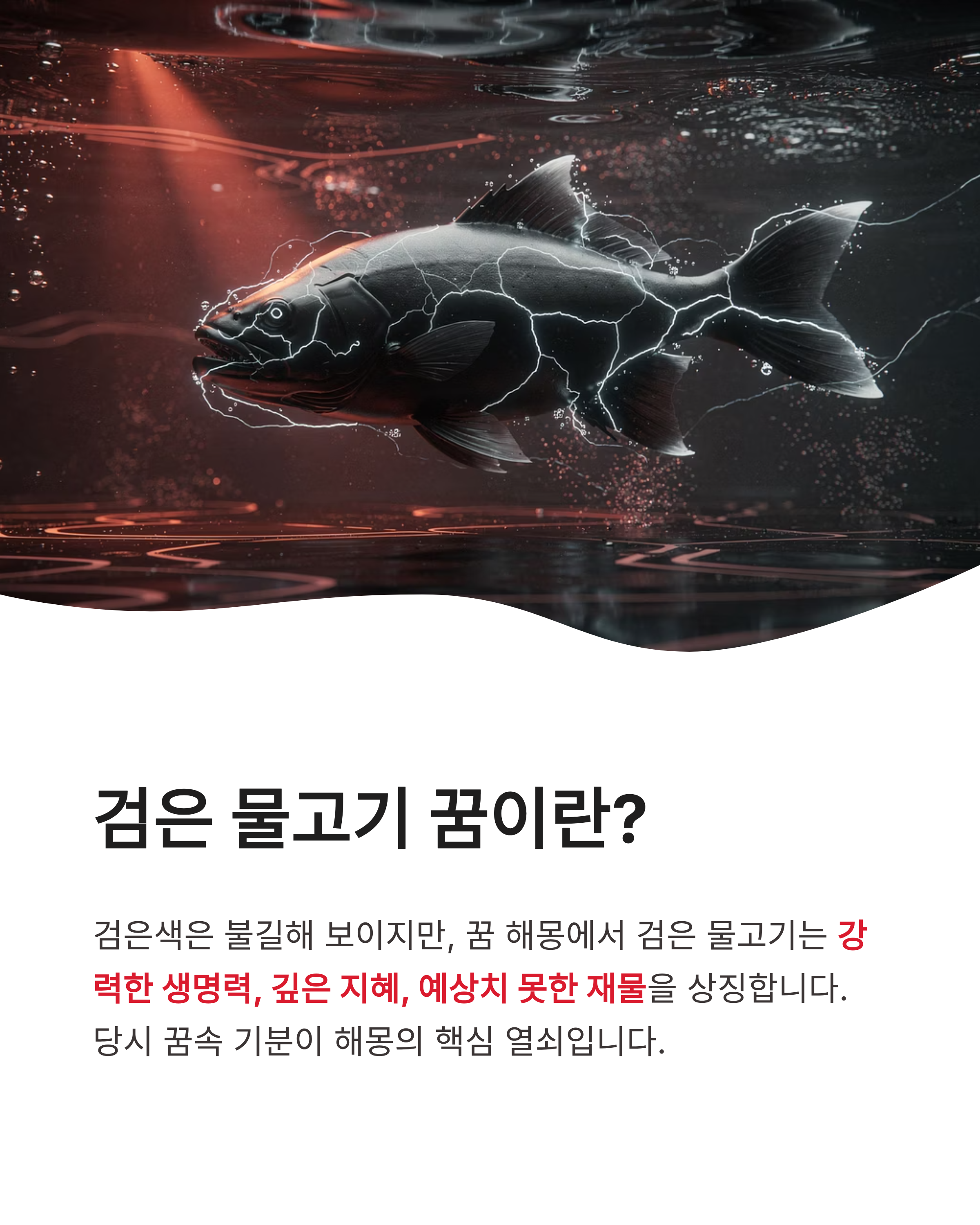 검은 물고기 꿈 해몽, 검은 물고기 태몽, 검은 물고기 꿈 요약 및 운세 가이드