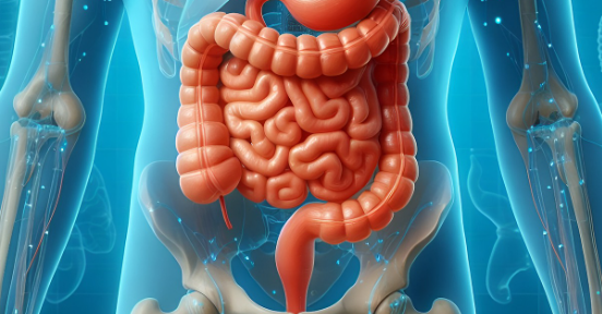 소장-대장-이미지