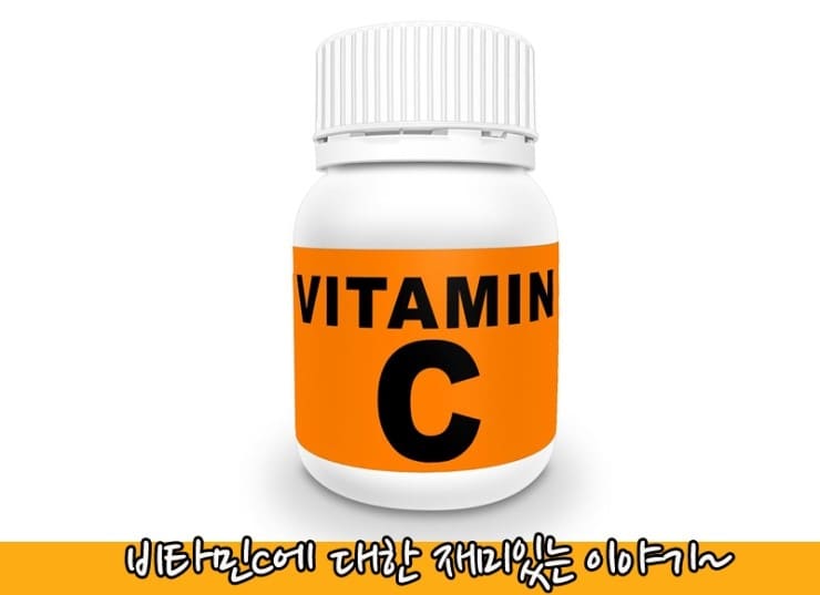 비타민-사진-포장용기