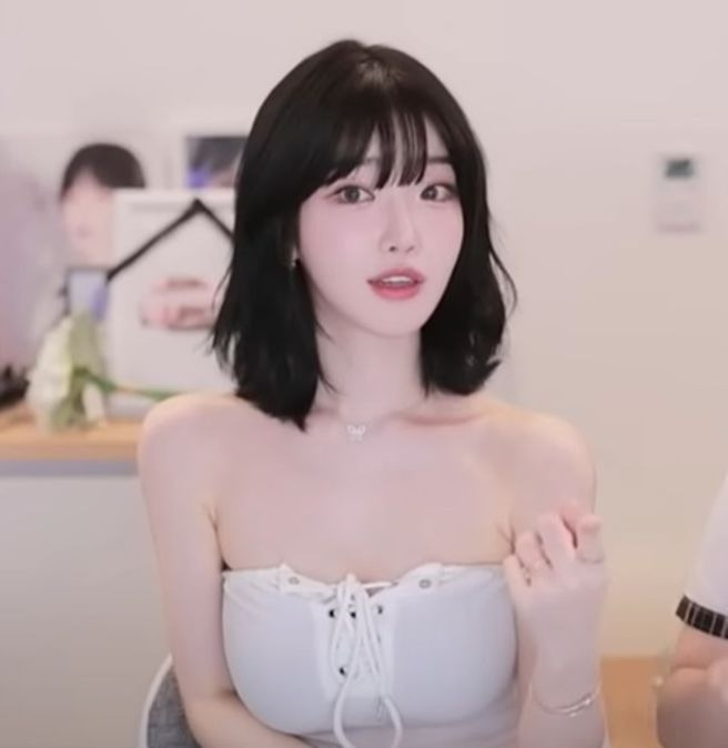 시드물 과즙세연 모델 선정 논란, 10년 '성분 신뢰'를 무너뜨린 마케팅 참사