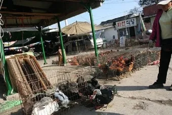 성주5일장 첫 방문기와 장날에만 맛볼 수 있는 30년 전통 호떡집 소개_15
