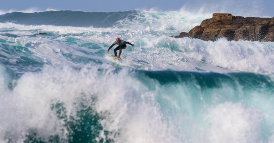 하와이 해변 사진