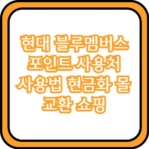 블루멤버스 포인트 사용처