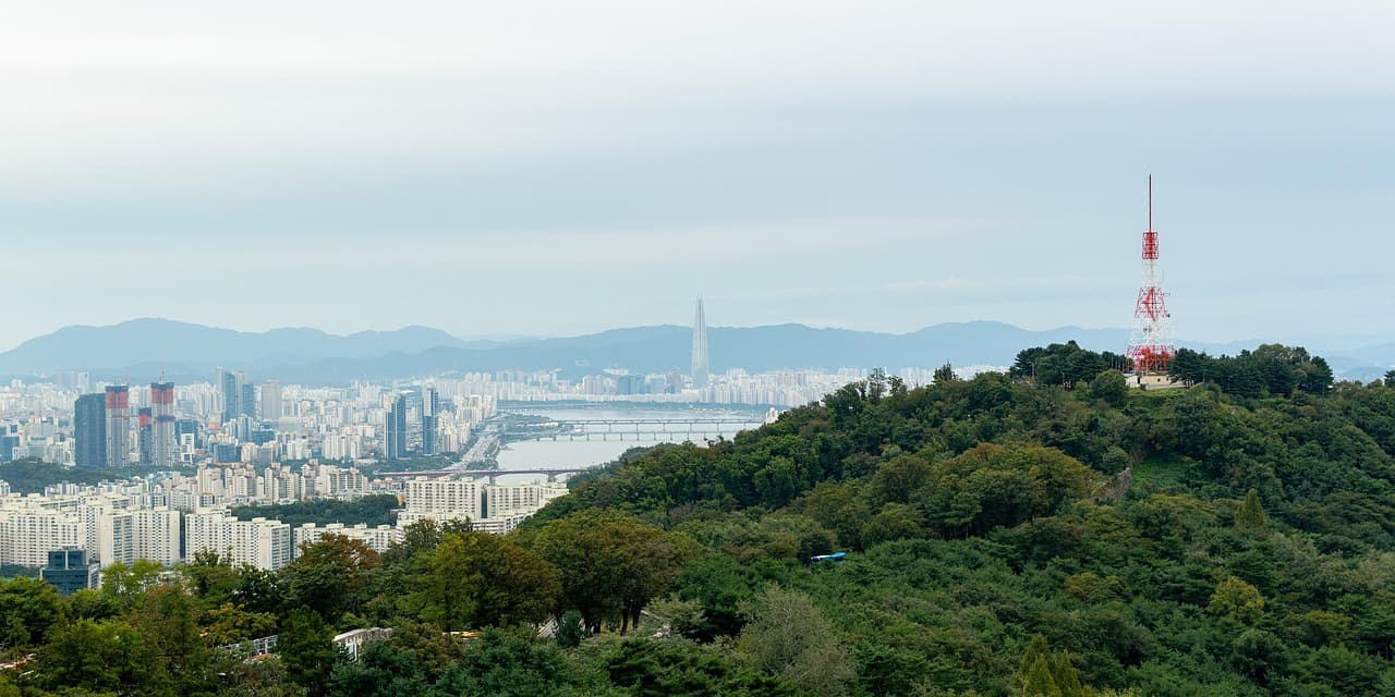 도시는 왜 같은 방식으로 재생되면 실패하는가