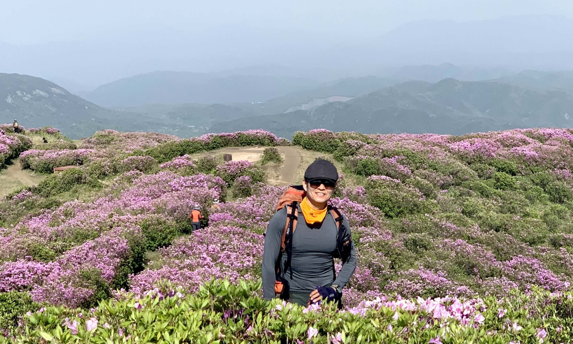 합천 황매산 모산재 철쭉