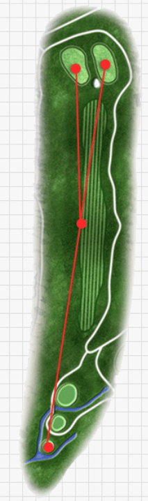 골드 그린 cc 6 Hole Tip