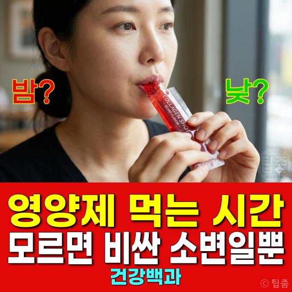 영양제 먹는 시간 섭취 복용