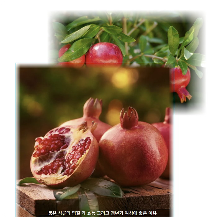 붉은 석류가 갱년기 여성에 좋은 이유