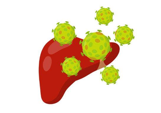B형 간염의 증상
