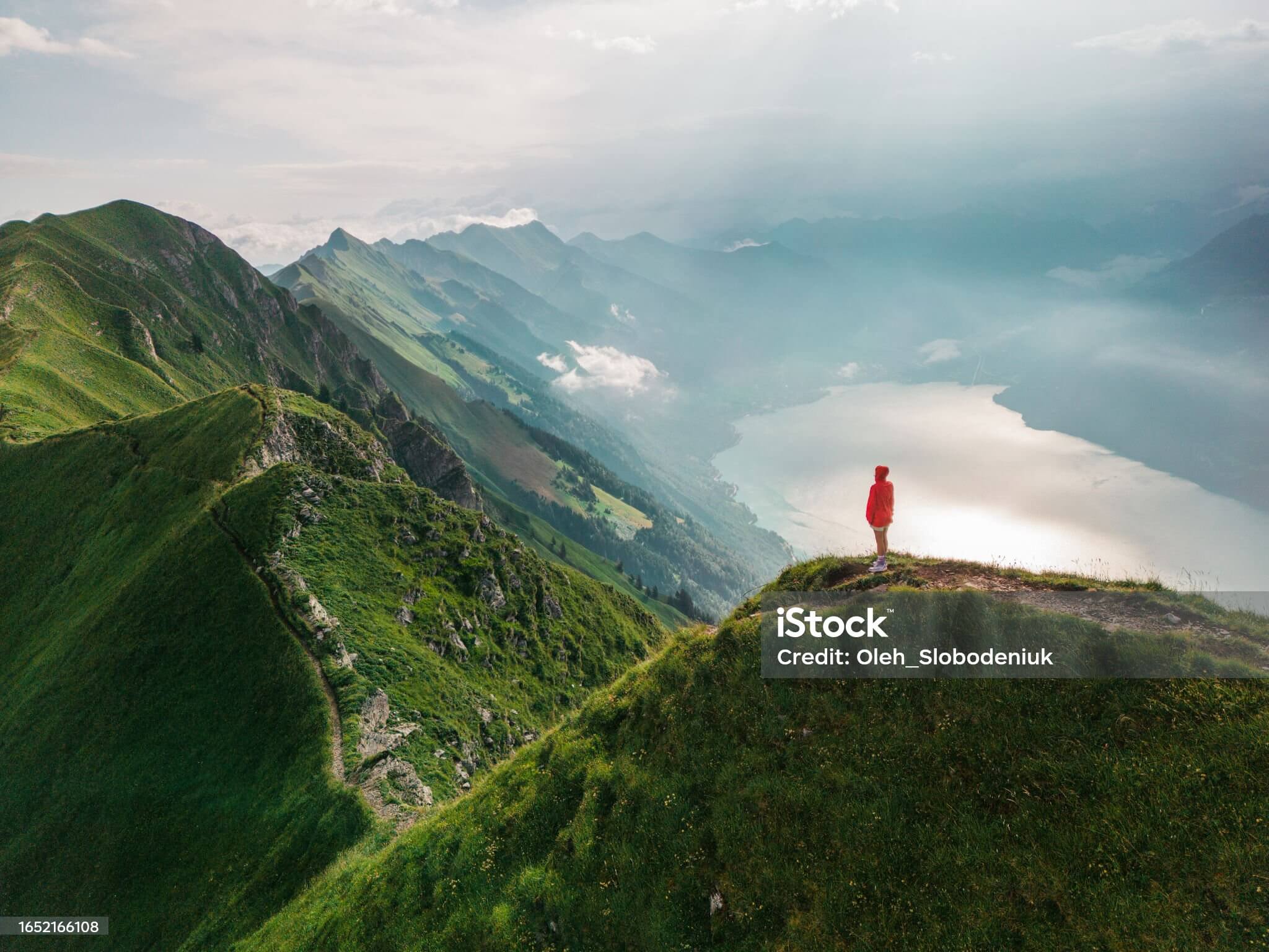 장애인 등록증 (복지카드)진위확인 서비스 장애인 복지