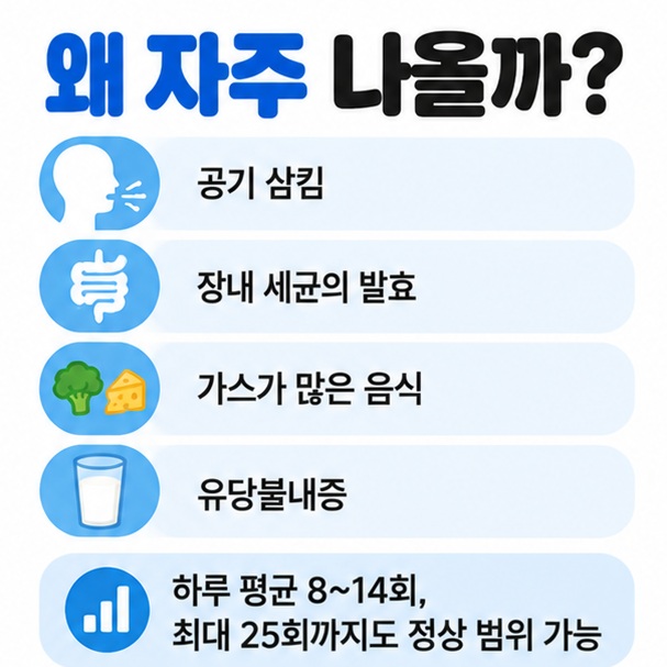 공기 삼킴 장내 발효 가스가 많은 음식 유당불내증 등 방귀가 많아지는 주요 원인을 정리한 이미지