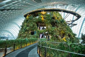 싱가포르 여행 추천 가든스 바이 더 베이