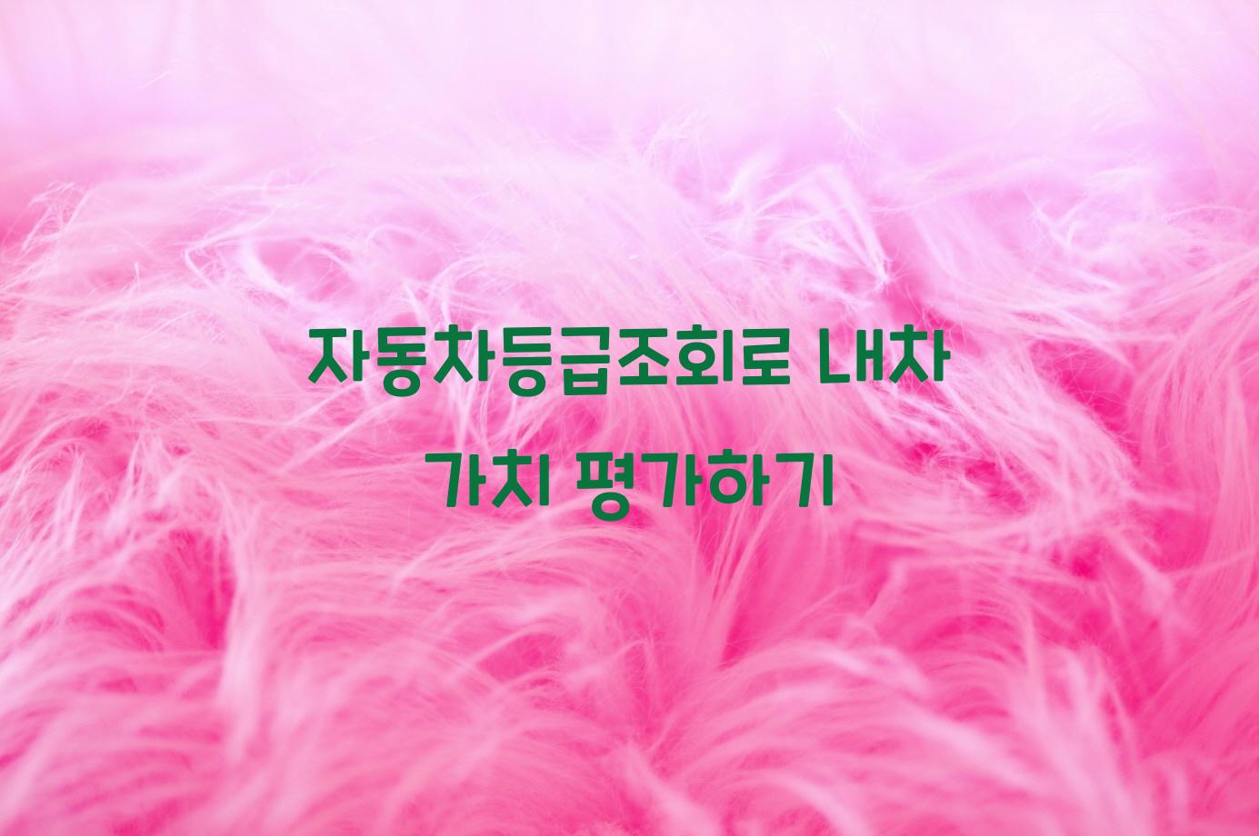 자동차등급조회