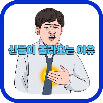 신물이 올라오는 이유