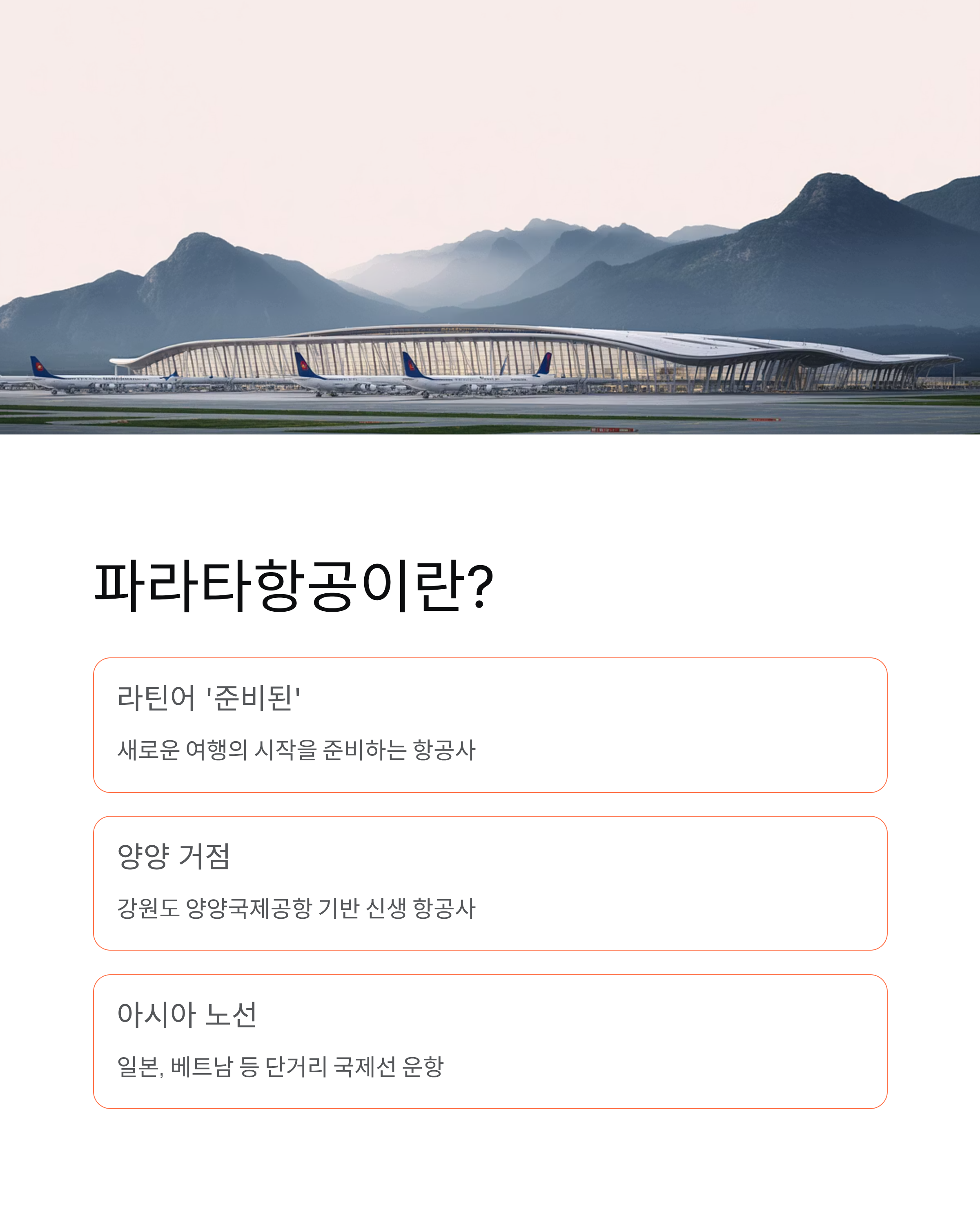 파라타항공 예약부터 일본 노선 후기까지! 완벽 정리 ✈️
