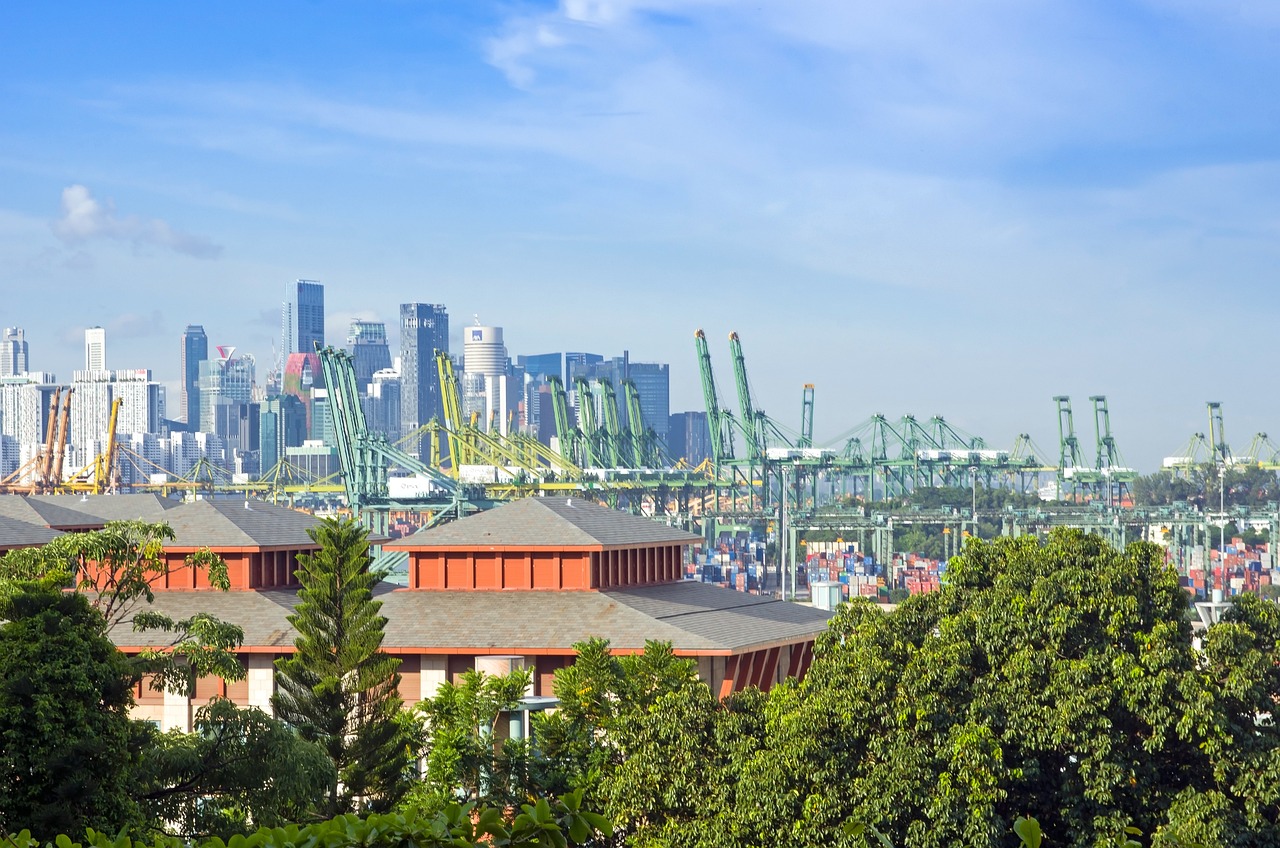 개인통관고유부호 조회