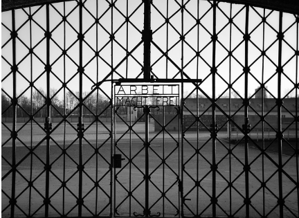 동네를 흔든 작은 사건들