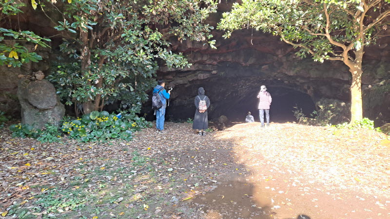 제주여행_성읍녹차마을_녹차동굴